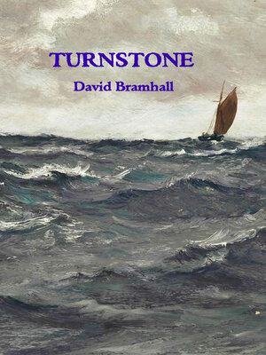 cover image of Turnstone